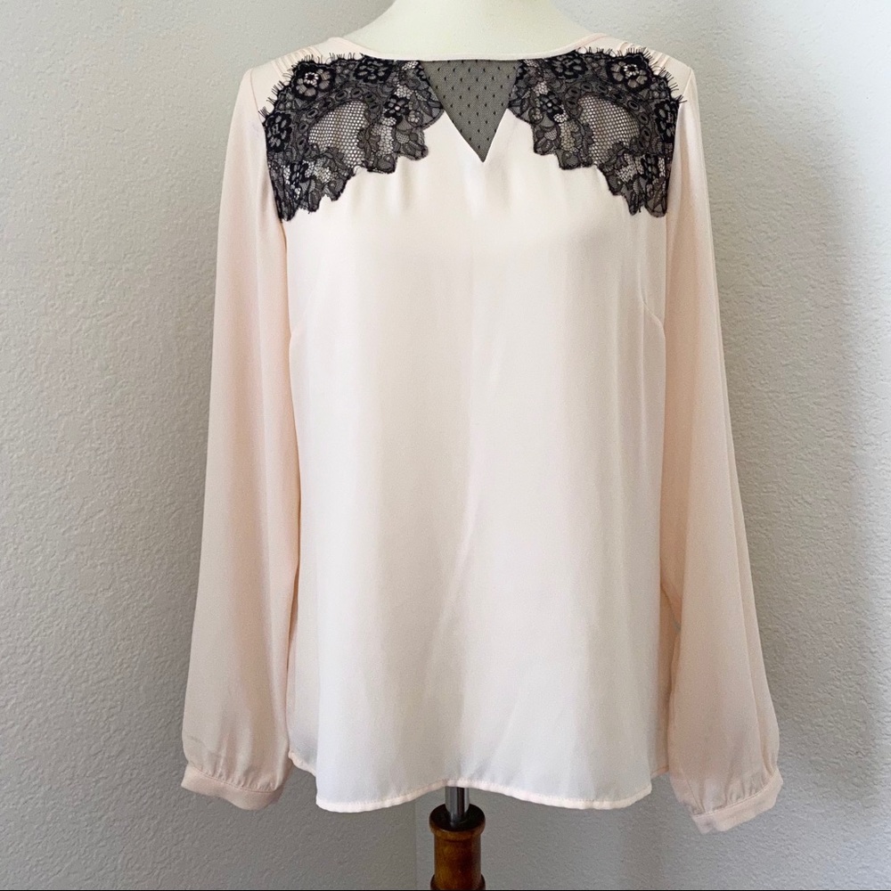 The Limited Blush Pink Cream Black Lace Blouse M